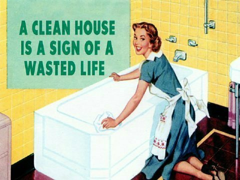 a_clean_house_is_a_sign_of_a_wasted_life_1180184600.jpg